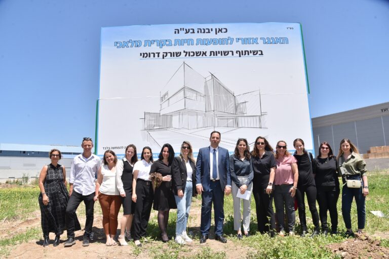 הנחת אבן האנגר הופעות